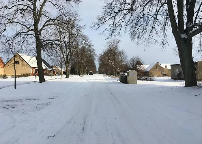 Exclusive Harpe Leppin