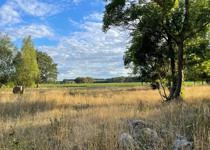 Exclusive Harpe アパート *